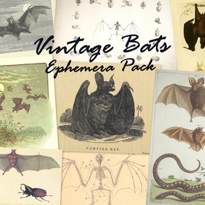 Zestaw do druku efemeryd Vintage Bats, 21 elementów, dziennik artystyczny nietoperza, dziennik śmieci, ołtarz, sztuka, kolaż ścienny, prezent dla czarownicy w stylu vintage z nietoperzem