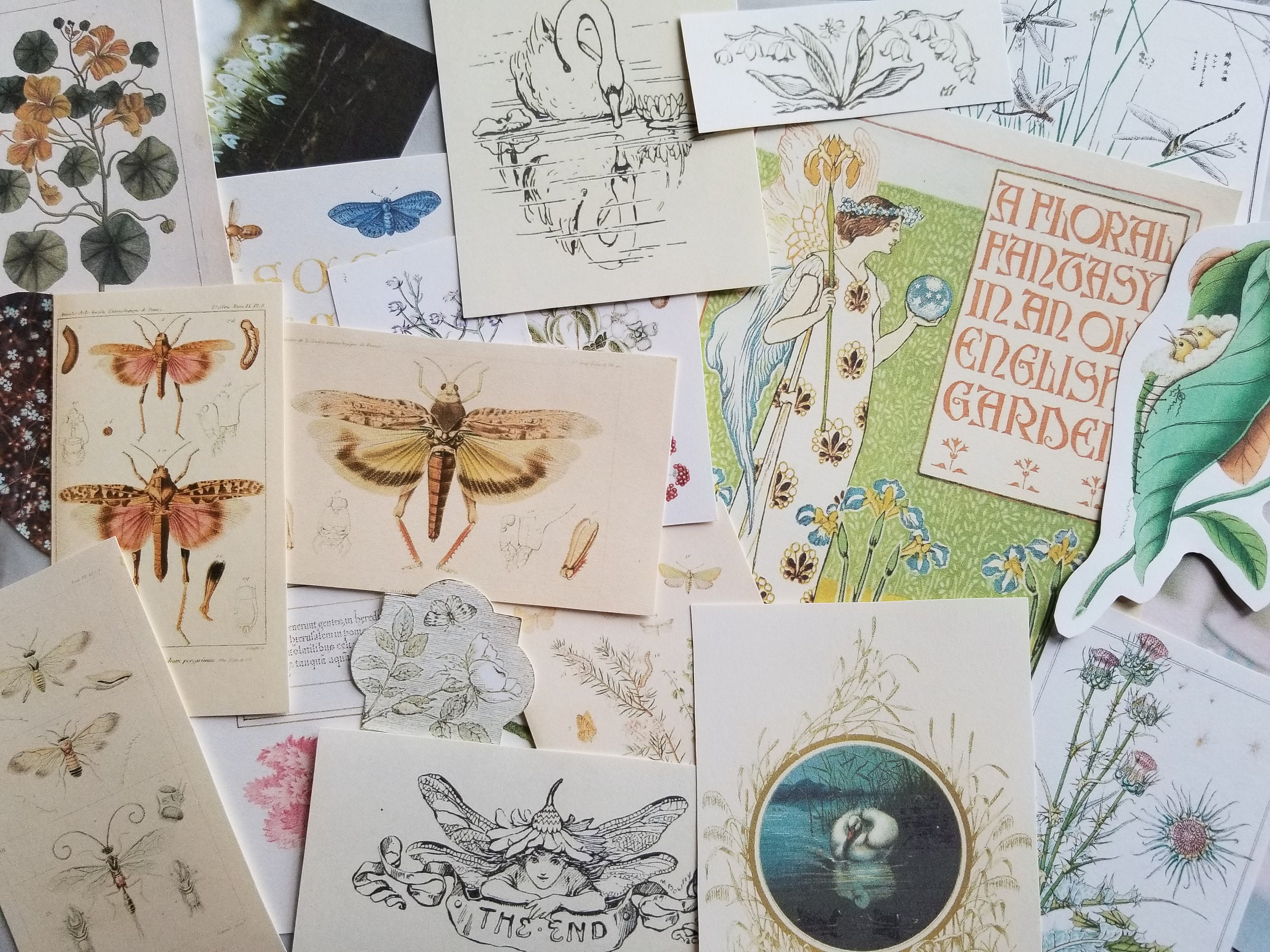 Fairytale Garden paper kit, 20 pieces ephemera photos vintage illustrations for art journal scrapbook junk journal collage card making