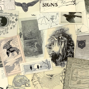 Vintage Dark Witchcraft printable ephemera kit, 38 illustrations for junk journal grimoire altar book of shadows spell book art journal
