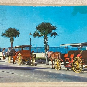 May include: Vintage postcard featuring horse-drawn carriages on a paved road, with palm trees and a blue sky in the background. The carriages are red with yellow wheels, and people are visible near the carriages. The scene evokes a sense of nostalgia.