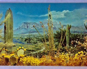 Arizona Desert Exhibit Superstition Mountain Postcard, Denver Museum of Natural History Souvenir Memorabilia Post Card, History Collectible