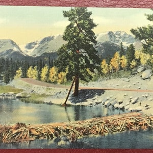 Mummy Range From Beaver Dams in Hidden Valley Along Trail Ridge Road, RMNP Co Linen Postcard, Souvenir Memorabilia Vintage Post Card