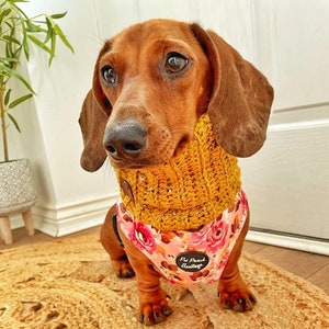 Mustard Flecks Roll Top Knitted DOG Snood / Scarf / Neckband image 2