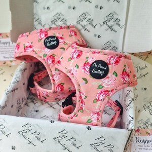 Sunday Rose Floral Luxury Puppy Dog Harness - optional Lead/flower accessory (wedding/flowers)
