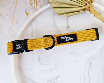 Mustard Yellow Cord Puppy or Dog Collar - sizes XS - M