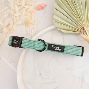 Sage Green Cord Puppy or Dog Collar - sizes XS - M