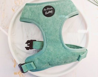 Sage Green Cord Luxus Welpen Hundegeschirr - XS - L - optional Leine/Fliege Zubehör