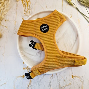 Mustard Yellow Cord Puppy Dog Harness - XS - L