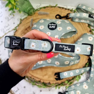 Pretty Little Pastel Green Daisies Flower Adjustable Dog Collar - Size XS - M (optional lead)