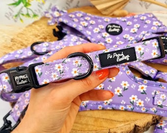 May include: Purple dog harness with a white daisy print and black hardware. The harness has the text "Pet Panch Boutique" on the strap.