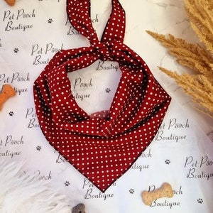 Op de afbeelding: Een rood met witte stippen bandana voor een hond. De bandana is bovenaan in een knoop geknoopt en heeft een zwarte rand. De bandana ligt op een witte achtergrond met de tekst "Pet Pooch Boutique" die wordt herhaald.