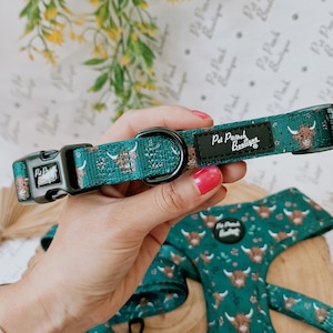 May include: Teal dog collar and harness set with a repeating pattern of Highland cows and floral accents. The collar features a black buckle and a metal D-ring. The brand name "Pet Pooch Boutique" is visible on the collar.