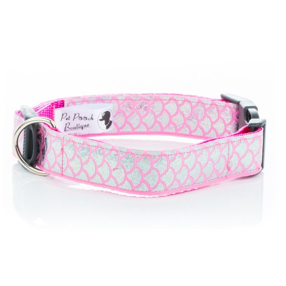 pink collar and lead