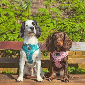 Daisy Chain Floral Puppy Dog Harness optional flower accessory Clearance sale image 5