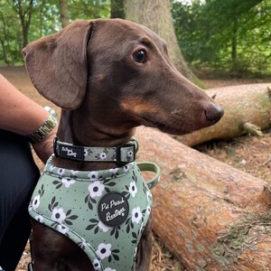 Green Meadow Daisy Puppy or Dog Collar optional flower accessory Bild 3