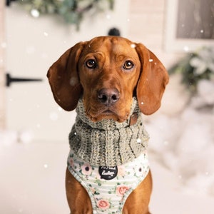 Sage Green Warm Roll Top Knitted DOG Snood / Scarf Neck warmer - poodles, cockapoos, short haired dogs, older dogs & spaniels