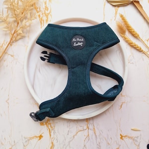 Forest Green Cord Puppy Dog Harness - XS - L
