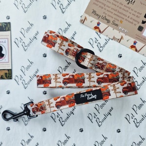 Pumpkin Patch Dog Lead