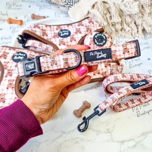Op de afbeelding: Een honden set met halsband, riem en tuigje met een teddybeerpatroon in bruin en wit. De halsband heeft een zwarte gesp en een zwart label met de tekst "Pet Pooch Boutique". Een hondenkoekje is ook zichtbaar.