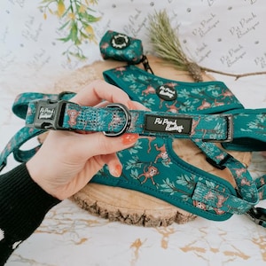 Op de afbeelding: Een tealblauwe hondenharnas met een apenprint en de tekst "Pet Pooch Boutique". Het harnas heeft een zwarte gesp en een zilveren ring.