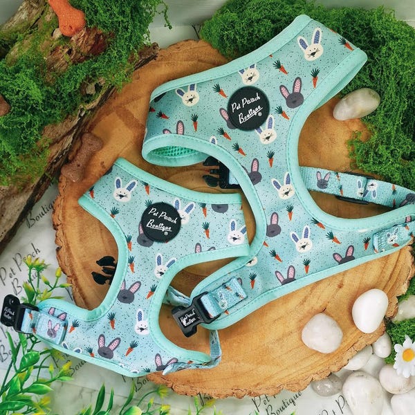 Mint Choc Chip Osterhase Welpe / Hundegeschirr - Größe XS, S, M, L