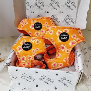 Orange Daisies Puppy Dog Harness - XS - L  - optional flower accessory reduced to clear