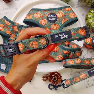 May include: A collection of dog accessories with a pumpkin pattern. The set includes a harness, collar, leash, and waste bag dispenser. The accessories are green with orange pumpkins and the text "Pet Pooch Boutique".
