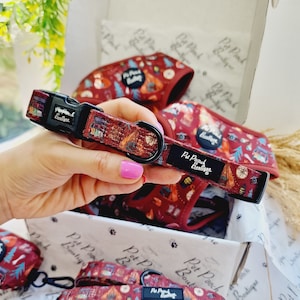 Great Adventure Puppy or Dog Collar (optional lead)