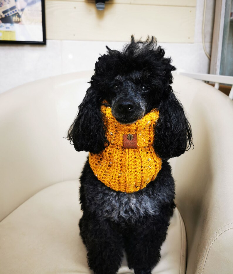 Mustard Flecks Roll Top Knitted DOG Snood / Scarf / Neckband image 5