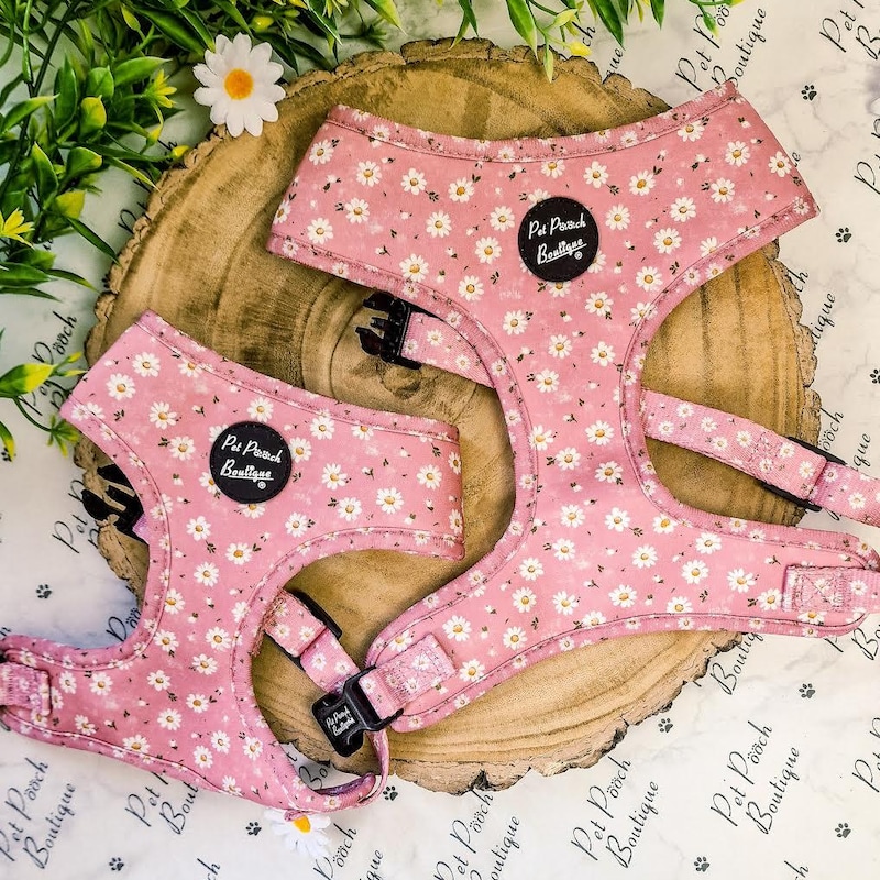Pink Yellow Dog Harness - Etsy UK