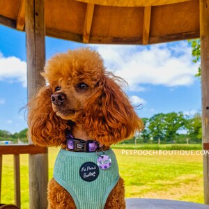 Lavender Florals Puppy or Dog Collar image 3