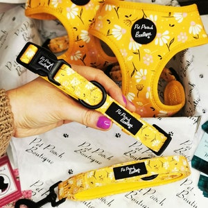 Sunshine Daisy Yellow Adjustable Dog Collar - Size XS - M (optional lead) - optional flower accessory