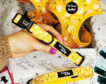 Sunshine Daisy Yellow  Puppy or Dog Collar - sizes XS - M  - optional flower accessory