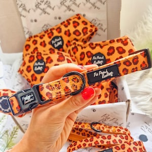 Spiced Honey Leopard Puppy or Dog Collar - Size XS - M  - Clearance