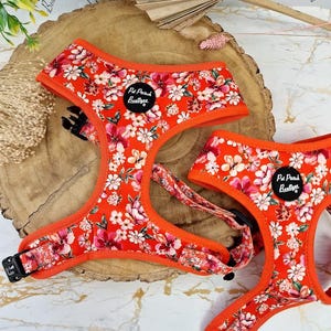 Sweet Marmalade Blossom Floral Puppy Dog Harness - optional flower accessory