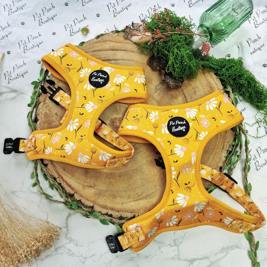 Yellow Sunshine Daisy Dog Harness - XS - L - Optional Lead/ Flower ...