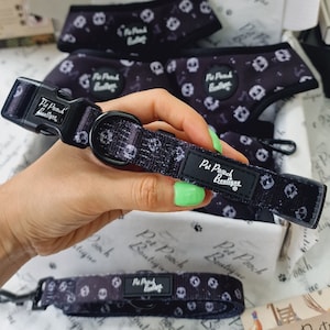 Black Skull Puppy or Dog Collar - Size XS -M -  - Clearance