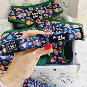 Christmas Dino Rawr Biscuits Puppy or Dog Collar - Size XS - M