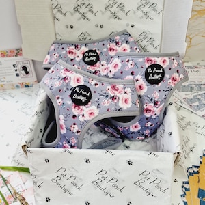 Secret Garden Puppy Dog Harness - XS - L  - optional flower accessory