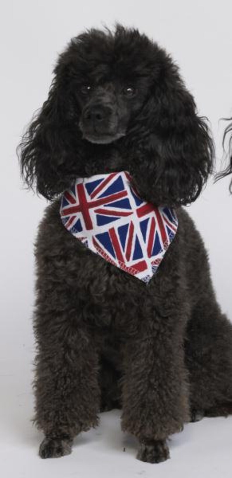 Union Jack Dog Tie on Bandana Etsy UK