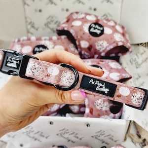 Pumpkin Leopard Latte Puppy or Dog Collar - Size XS - L