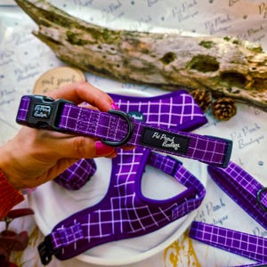 May include: A purple dog collar, harness, and leash set with a white grid pattern. The collar is held by a hand and features a black buckle and a label that reads "Pet Pooch Boutique". The set is displayed on a white plate.