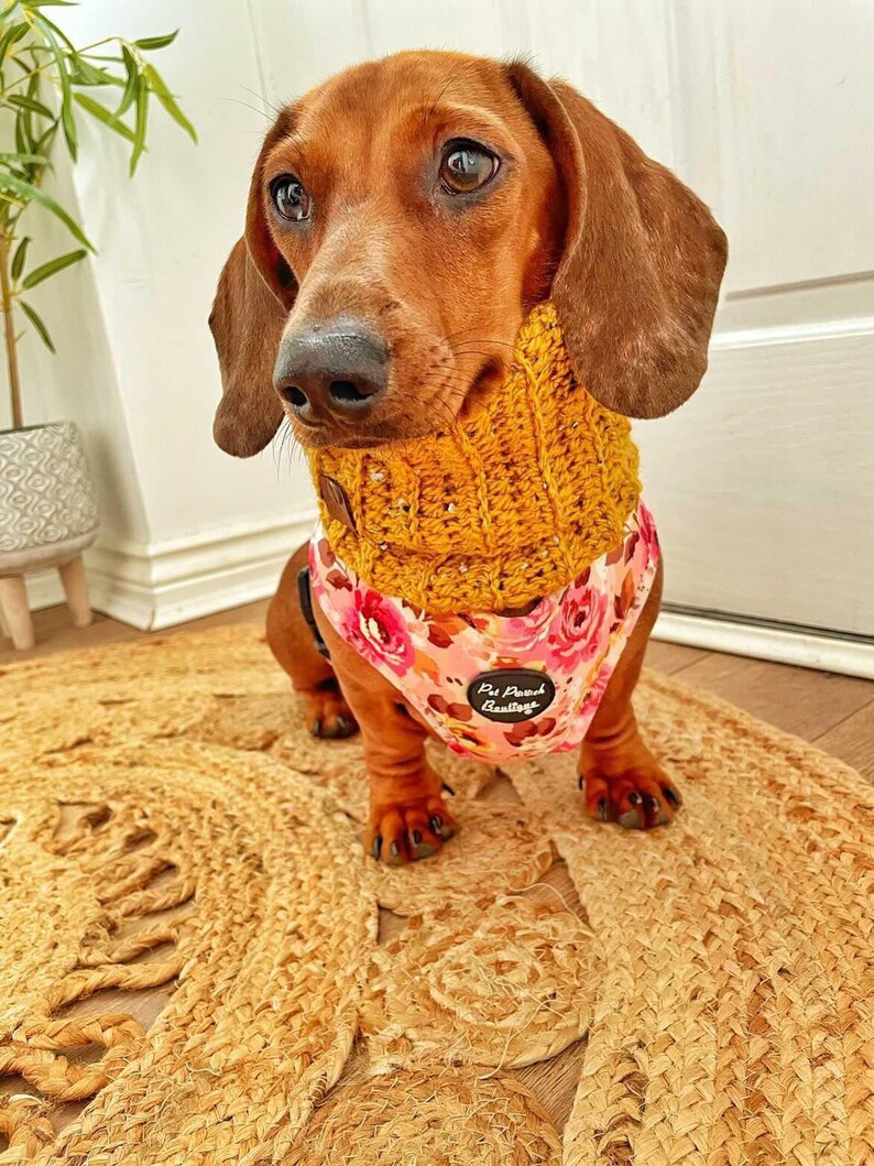 Mustard Flecks Roll Top Knitted DOG Snood / Scarf / Neckband image 2