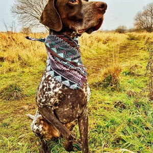 Frayed Purple Thunder Puppy Dog Bandana Tie on Scarf - Etsy UK
