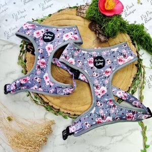 Secret Garden Puppy Dog Harness - XS - L  - optional Lead/ flower accessory