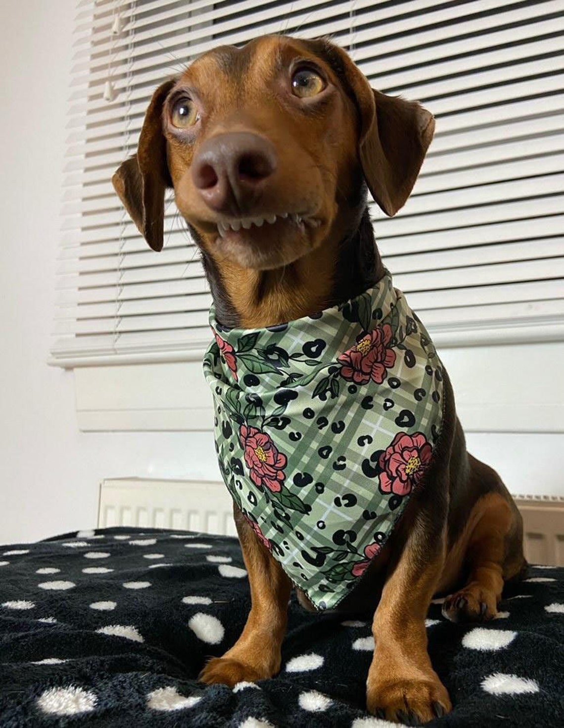 Salbei Floral Tartan karierten Welpen Hund Krawatte auf Etsy