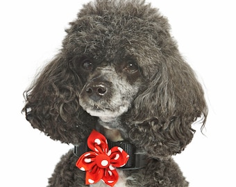 Red Polka Dot Detachable Flower Dog Collar Accessory - Handmade in the UK