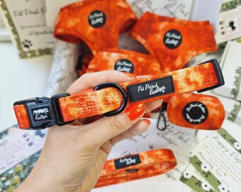 Orange Racer Puppy or Dog Collar - Size XS-M