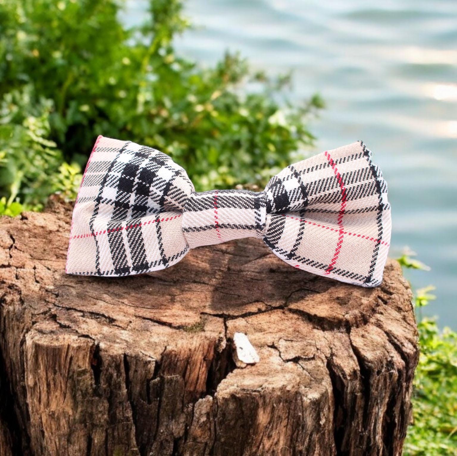 burberry bowties