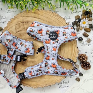 May include: A light blue pet harness and matching collar set. The set features a repeating pattern of hedgehogs, pumpkins, and wheelbarrows. The harness has black plastic buckles and a black label that says "Pet Pooch Boutique".